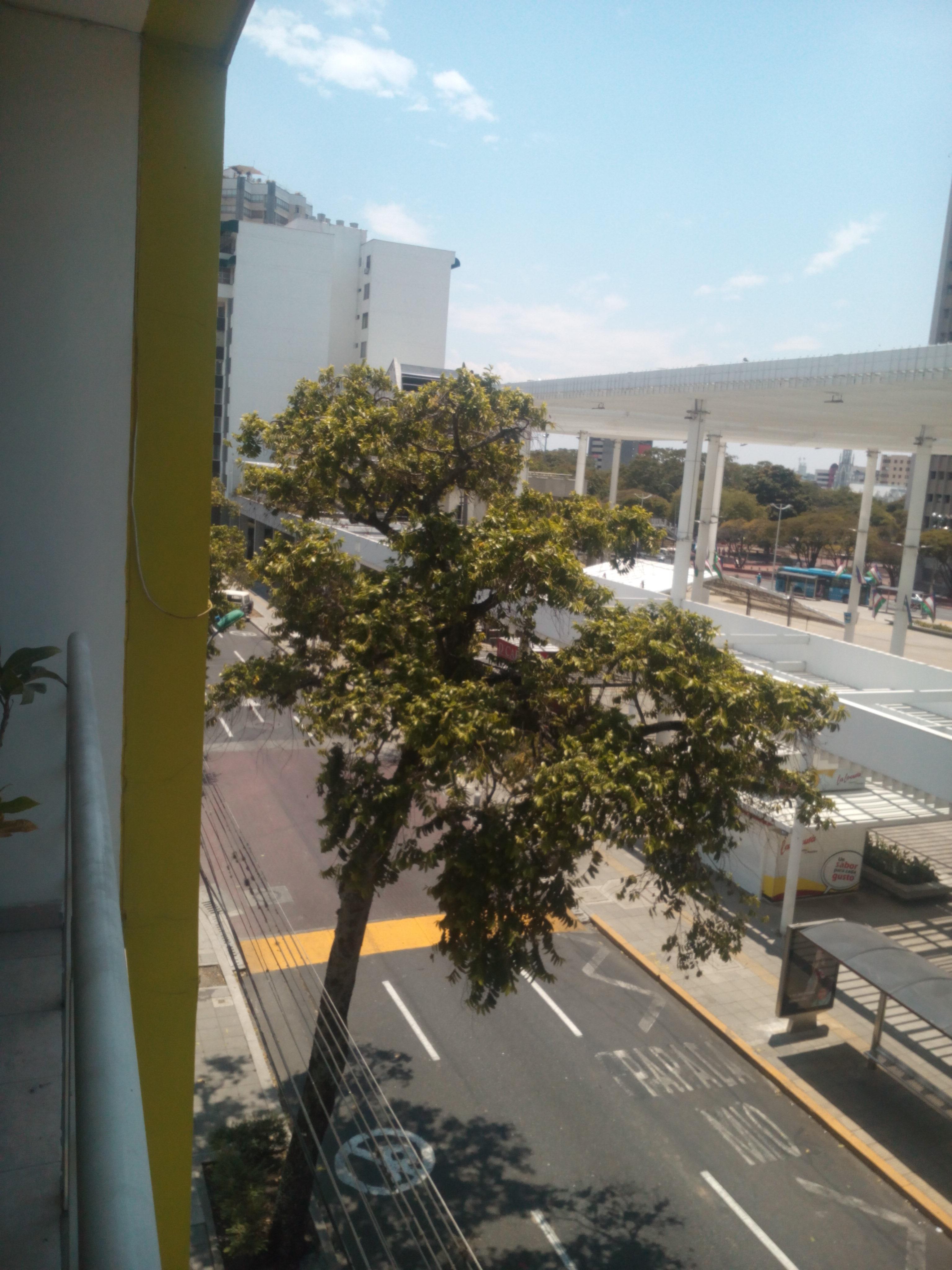 Hotel Cuarta Avenida กาลี ภายนอก รูปภาพ